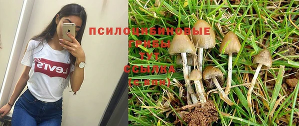 прущая мука Алексин