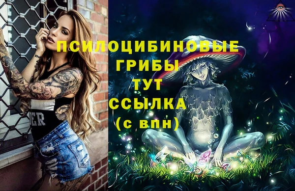 бошки Алзамай