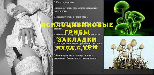 стафф Алексеевка