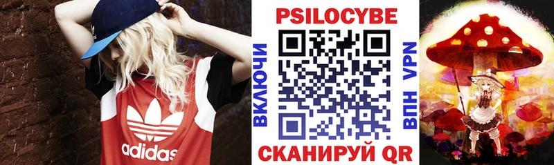Галлюциногенные грибы Psilocybine cubensis  Болхов 