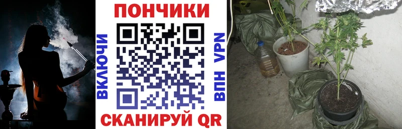 Конопля семена  хочу наркоту  Болхов 